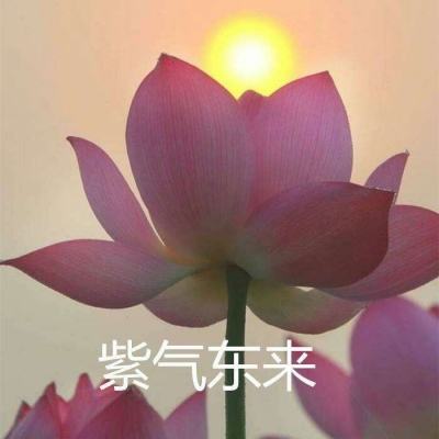 九州ol安卓版下载